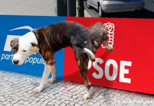 España hacia el Abismo - Página 3 Perro-anti-ppsoe